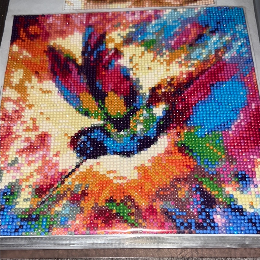 Finished Vibrant Multicolor Hummingbird Diamond painting Art